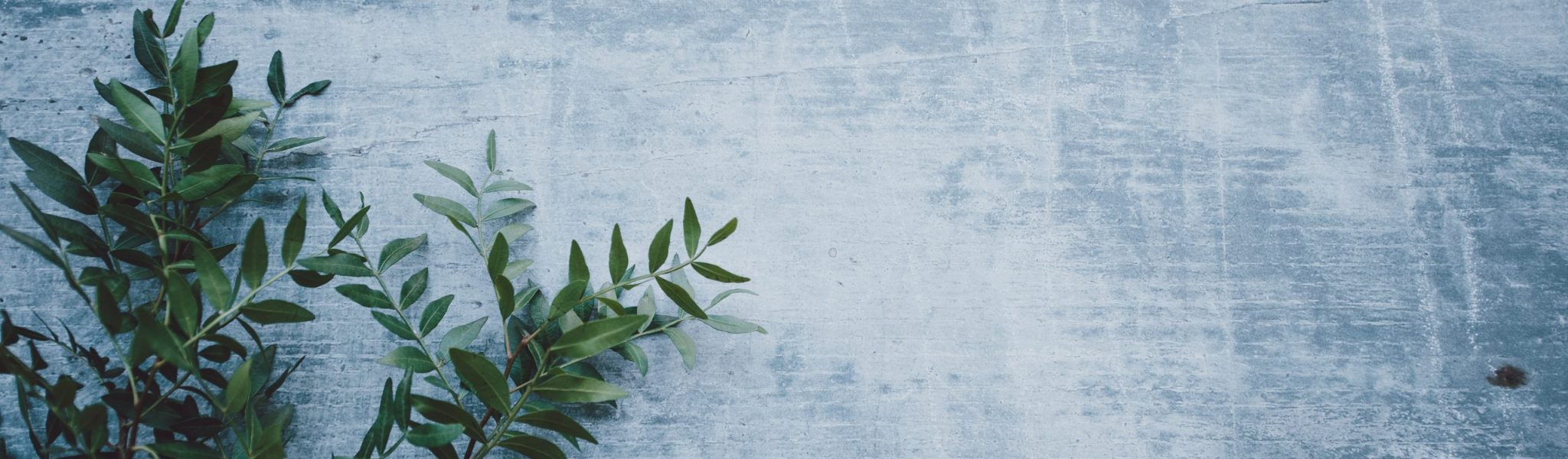 annie-spratt-0pWdKDGal7I-unsplash